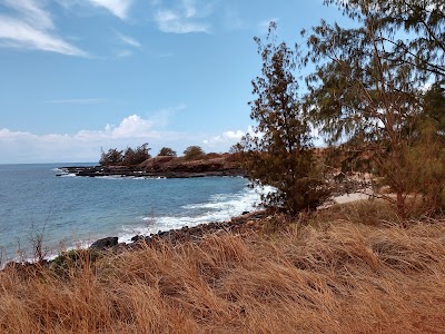 Kauai Wildlife Reserve