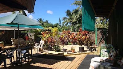 Angeline’s Kauai Lomi Lomi Massage