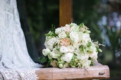 Lisa Insalata Weddings