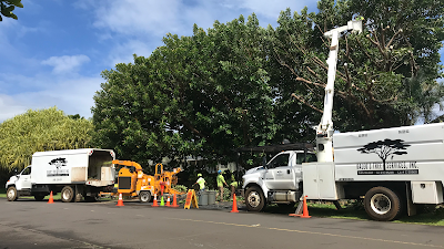 Kaleo’s Tree Services, Inc.