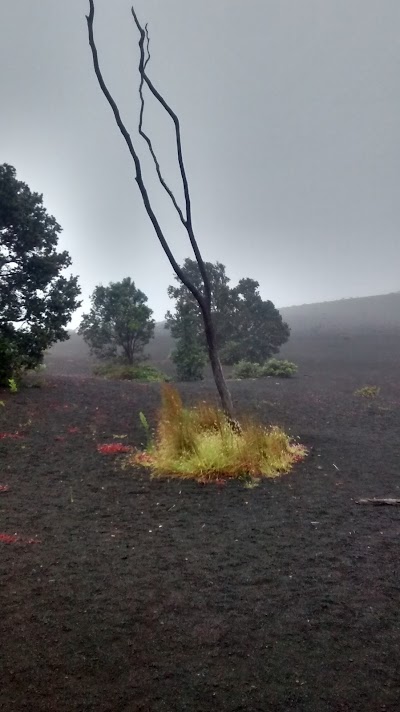 Kilauea