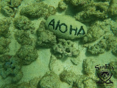 Aloha Kauai Tours (Business Non-Operational)