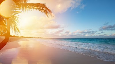 Ashford Digital – Hawaii