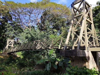 Kapaia Swinging Bridge