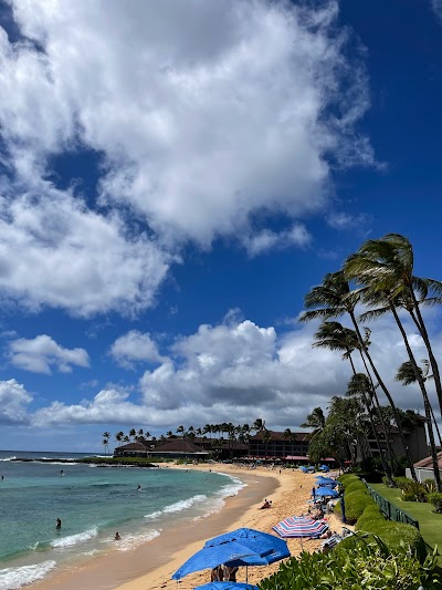 Kauai Surf School