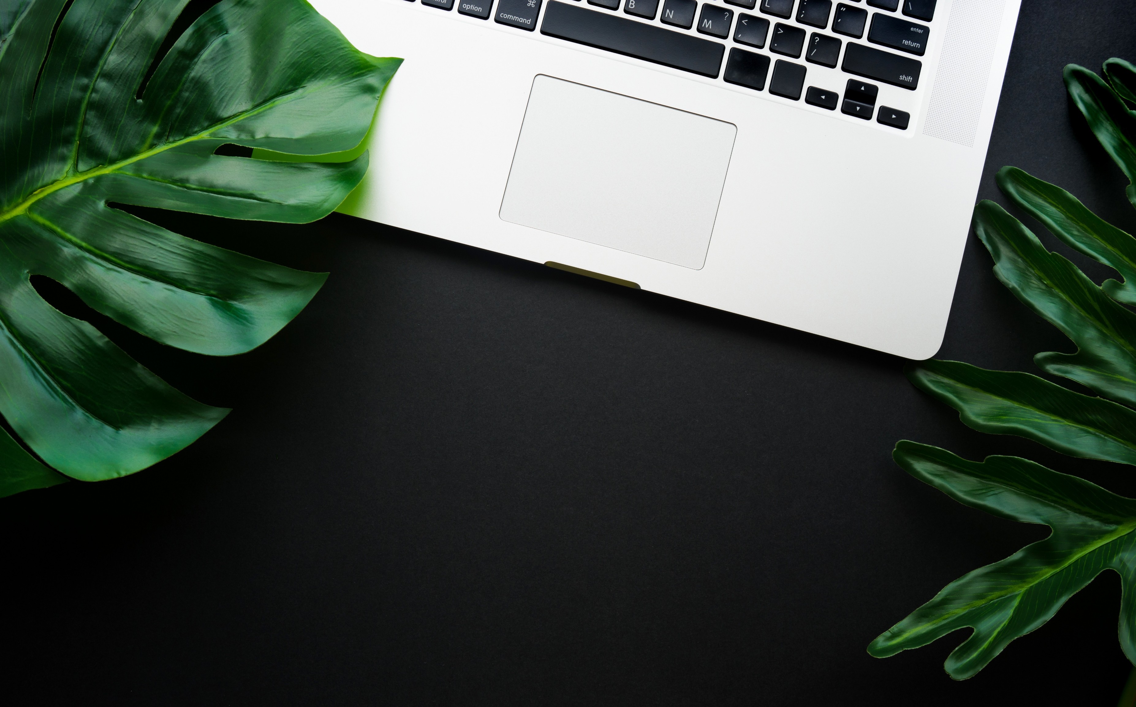 Anahola Post Office/Anahola Bus Stop (Free WiFi)